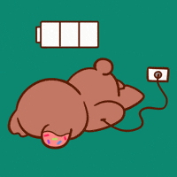 Energy Charging GIF by Beraji Bears