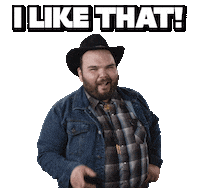 Like It Sticker by Howdy Price