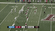 LafayetteLeopards football sack lafayette leopards GIF