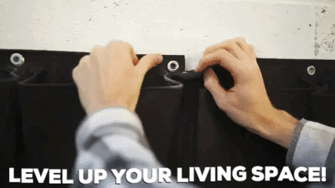 GrabYoursTODAY giphygifmaker GIF