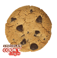 GalletasPuig yummy chocolate venezuela caracas Sticker