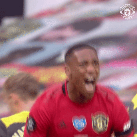 Hell Yeah Yes GIF by Manchester United
