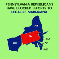 Joe Biden Weed GIF by Creative Courage