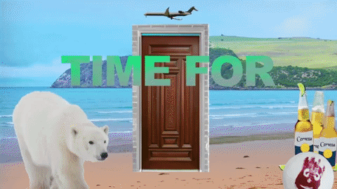GIF by Bro Safari