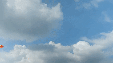 Flying Chicken Sandwich GIF by Bojangles'
