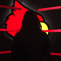 University Of Louisville Swimming GIF by Louisville Cardinals