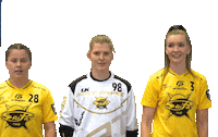 Floorball Salibandy Sticker by F-liiga