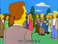 homer simpson episode 13 GIF