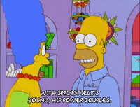 homer simpson episode 13 GIF