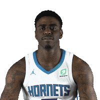 Sport Basketball Sticker by Charlotte Hornets