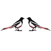 Love Birds Kiss Sticker by Magpie Wedding