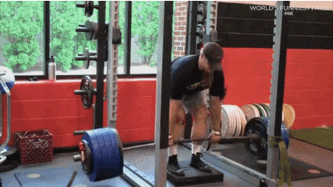 world's funniest fails GIF by Fox TV
