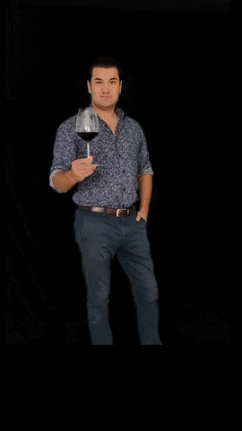 Cheers Wine GIF by Hertelendy Vineyards