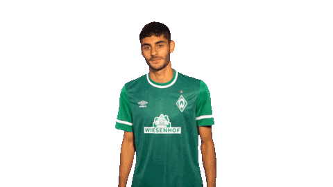 Fussball Sticker by SV Werder Bremen