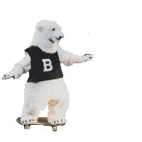 Polar Bear Sticker by Bowdoin College