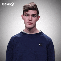 Sorry I Apologize GIF by SWR3