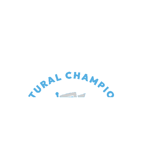 Flag Champion Sticker by Teakoe Tea