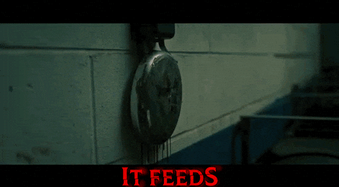 Ashley Greene Bell GIF by Signature Entertainment