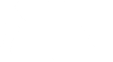 Fashion Style GIF by Univision