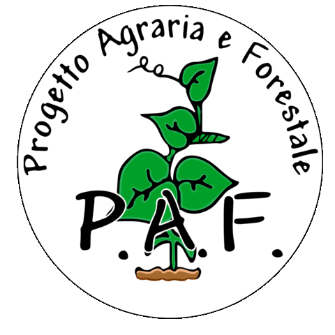 funghi ife Sticker by Pietro_Cal