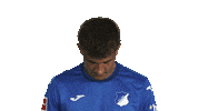 Look Up Tsg Hoffenheim Sticker by Bundesliga