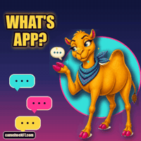 Whats Up Chat GIF by CamelToe