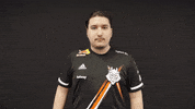 Global Offensive Facepalm GIF by G2 Esports