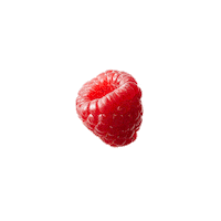 Raspberry Sticker by Tru Fru