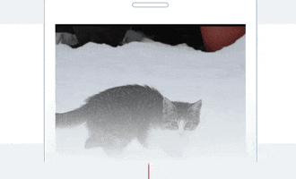 spark romantic GIF by Product Hunt