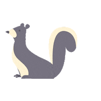 Squirrel Trailhead Sticker by Salesforce