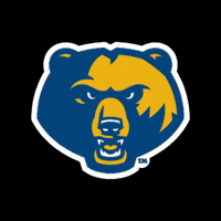 Game Day Bear GIF by WVU Tech Golden Bears