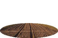 Agro Sticker by ZT Sementes