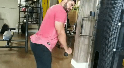 mauroandre6a40 giphyupload supinoretoteamlobo GIF