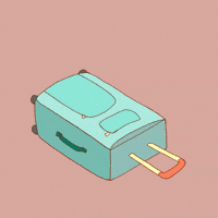 Cat Go GIF