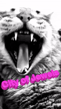 City Of Jewels GIF by KPISS.FM