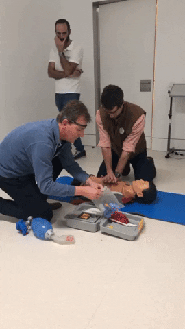antniopedromarques giphygifmaker GIF