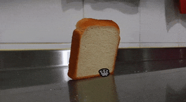 Cat Falling GIF