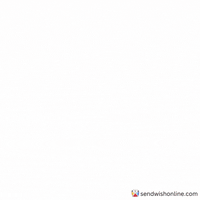 Sparkles Wow GIF by sendwishonline.com