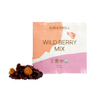 sunandswellfoods sun vegan sustainable earth day Sticker