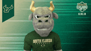Usf College Colors Day GIF by University of South Florida