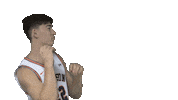 Basketball Bow Sticker by Carson-Newman Athletics