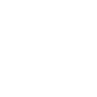 FallenInternational logo brand skate shoes Sticker