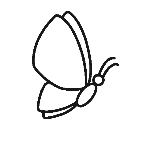 Butterfly Bug Sticker