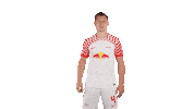 Football Showing Sticker by RB Leipzig