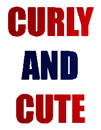 Curls Dmv Sticker by The Hair Company USA