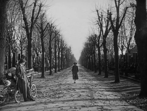 kirkmoore8f58 giphygifmaker the third man walk on by alida valli GIF
