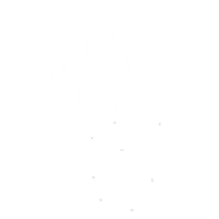 Car Snow Sticker by PRO-MIX Gardening
