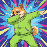 Shiba Inu Wow GIF by Doge Pound