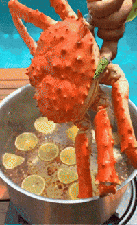 Hungry Lets Eat GIF by AnaCatali