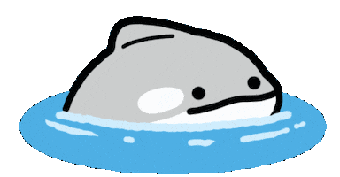 Orca Sticker